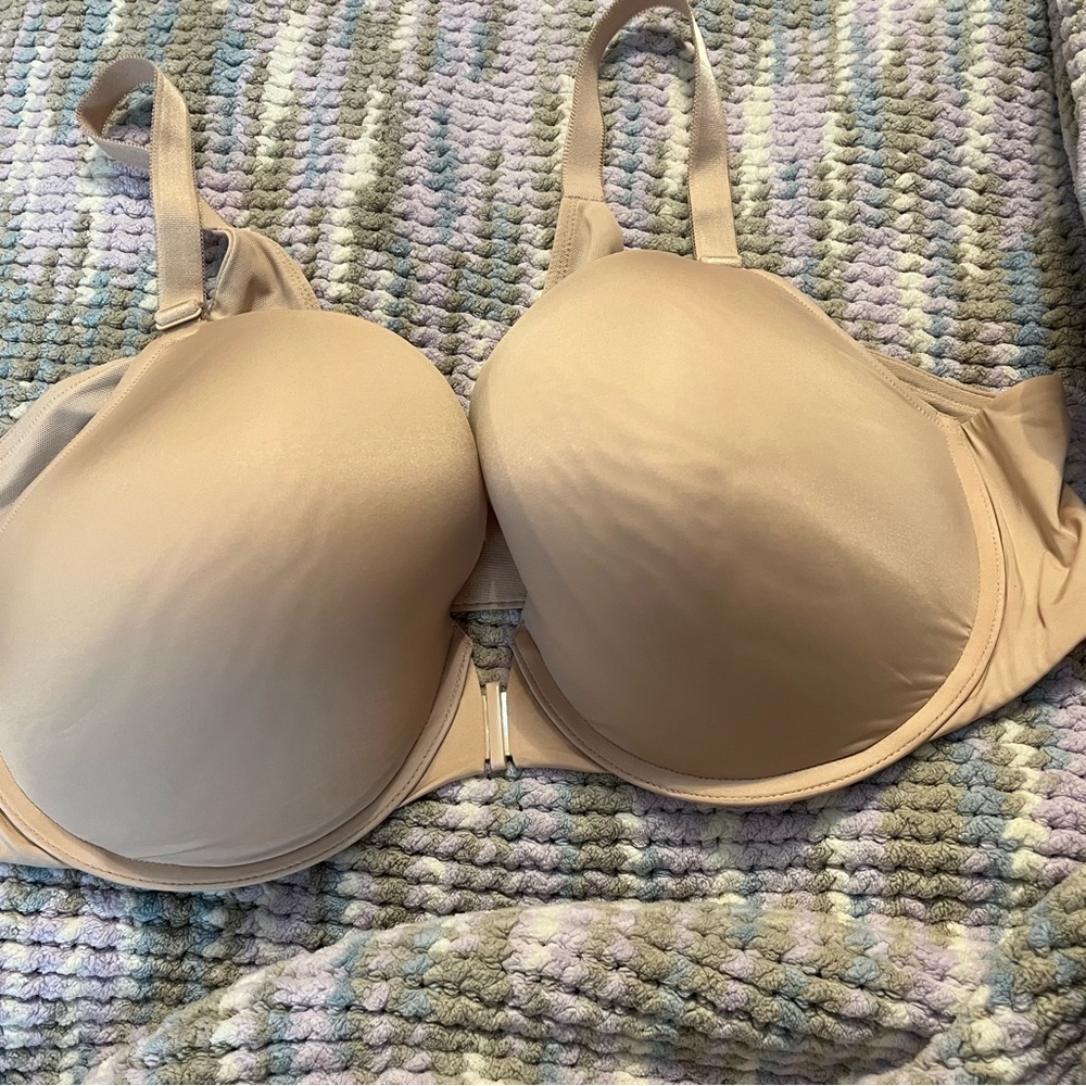 Torrid bra